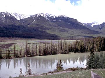 Das herrlich grüne Tal des Bow-River in Alberta