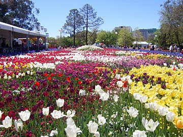 Floriade in Canberra