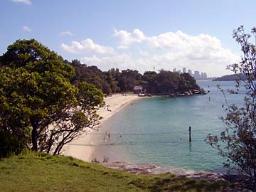 Der Strand an der Shark Bay bei Sydney
