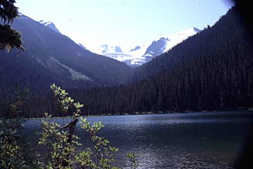 Landschaft mit Wald am Green Lake