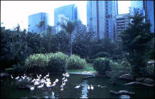 ein Park bei Tsim Sha Tsui, Hong Kong