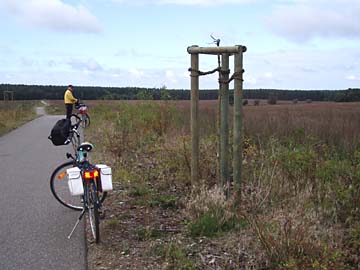 Waren, Radeln im Müritzer Nationalpark