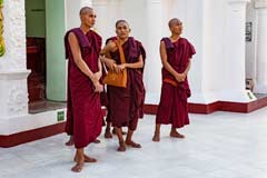 Mönche in der Shwedagon Pagode in Yangon