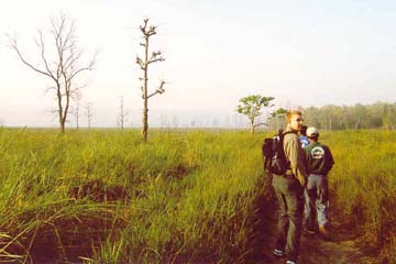 Zu Fuß durch den Dschungel, Chitwan National Park, Nepal