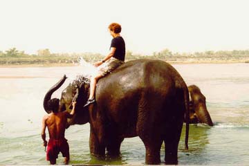 Baden mit den Elefanten im Chitwan National Park, Nepal