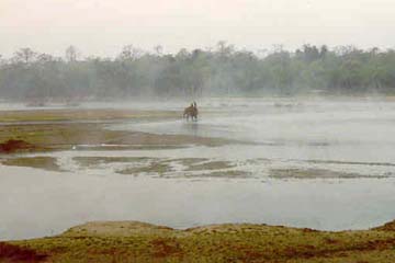 Morgenstimmung am Fluß, Chitwan National Park, Nepal