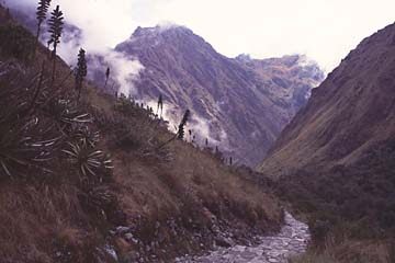 es geht wieder abwärts nach dem Pass, Inka Trail, Peru