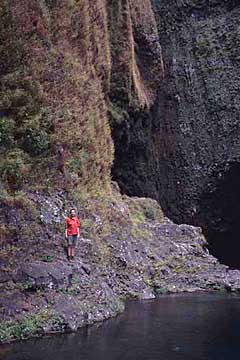 am Becken der Cascade du Chaudron, Réunion