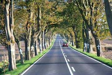 Fahrt auf der "Deutschen Alleenstraße bei Garz, Insel Rügen