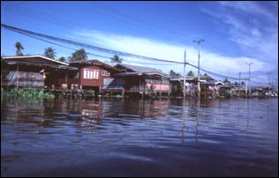 auf den Klongs in Bangkok