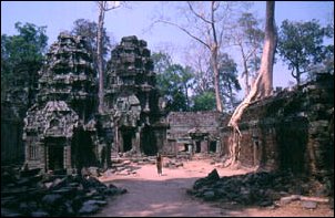 Die beeindruckenden Tempel von Ta Prohm in Angkor, Kambodscha