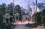 Die überwucherten Ruinen von Ta Prohm in Angkor in Kambodscha